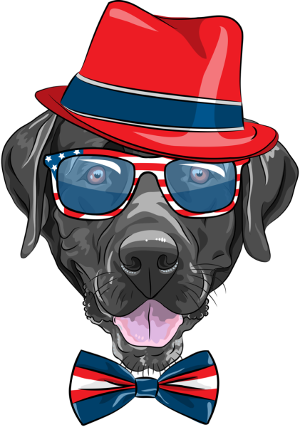 Собака в шляпе и очках