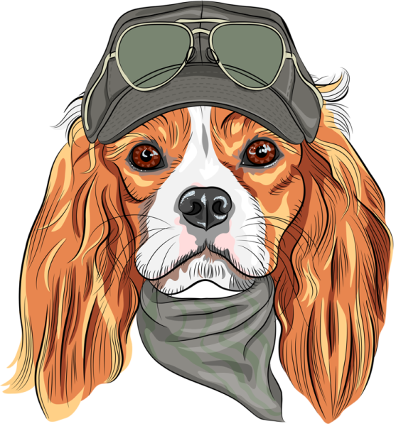 Собака в шапке арт