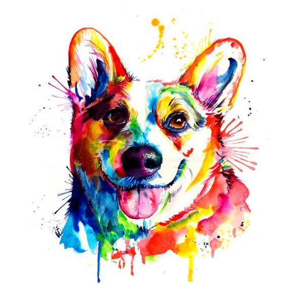 Разноцветные собаки