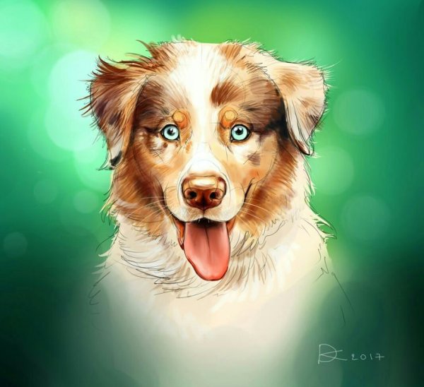 Собака рисунок