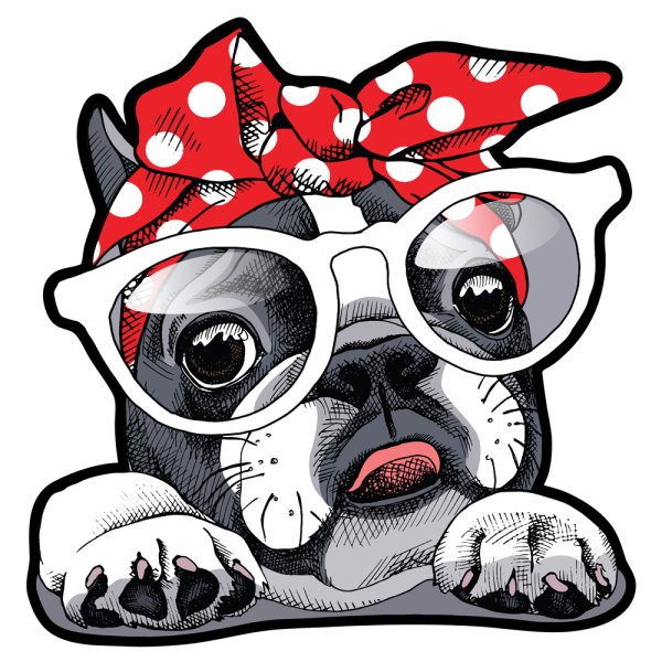 Бульдог в очках