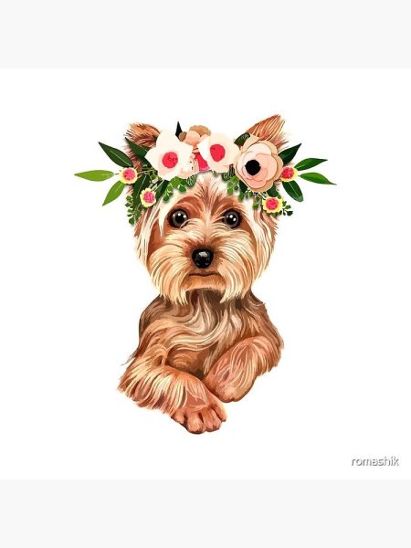 Йоркширский терьер арт