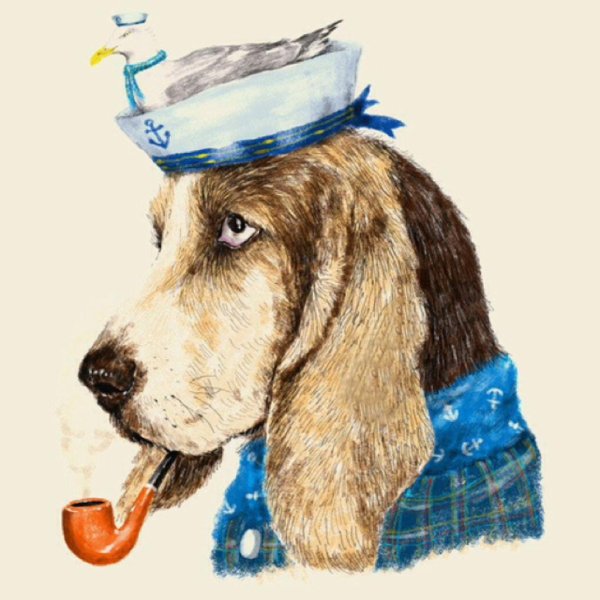 Собака моряк