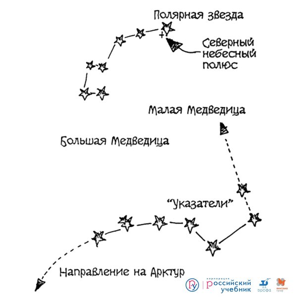 Созвездие малой медведицы схема