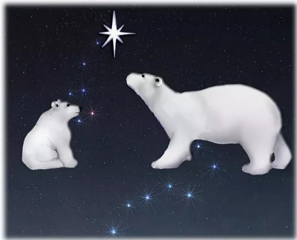.Полярная звезда малая Медведица и Полярная