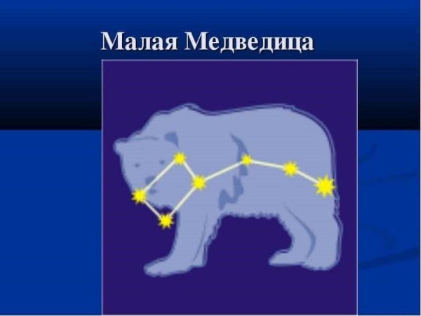 Большая и малая Медведица
