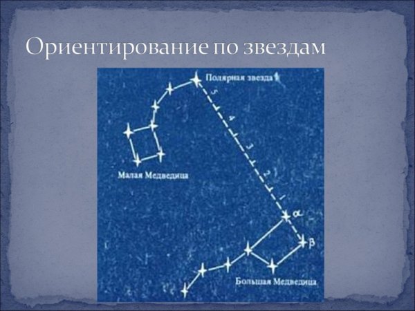 Малую медведицу