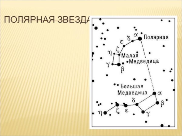 Малая Медведица Созвездие схема
