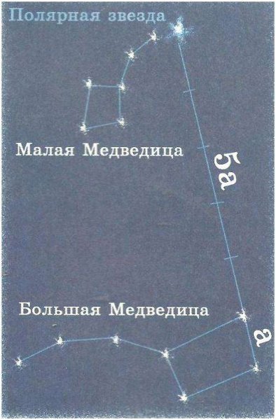 Созвездие большая и малая Медведица схема