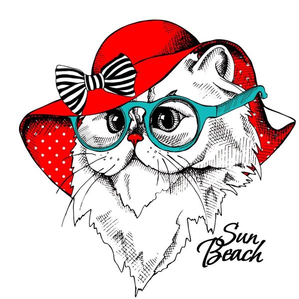 Кот в очках