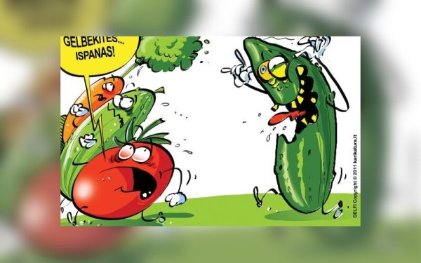 Овощи приколы