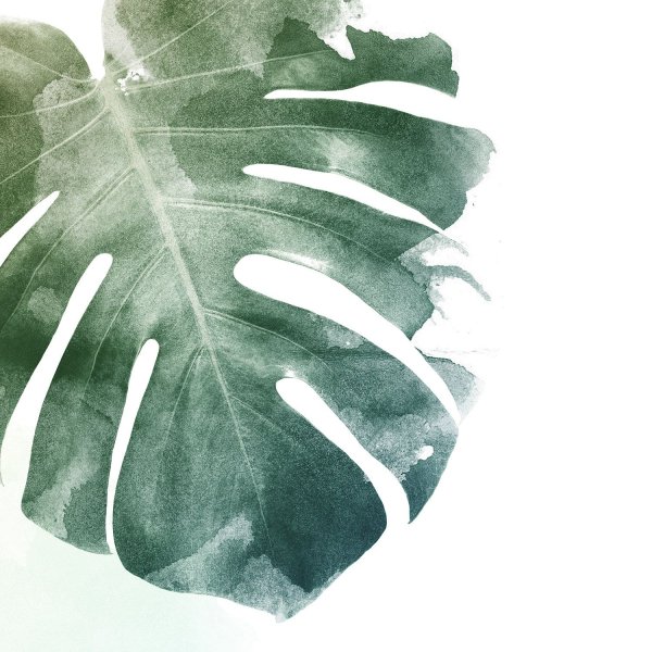 Monstera Leaf Painting