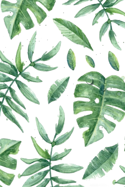 Монстера паттерн