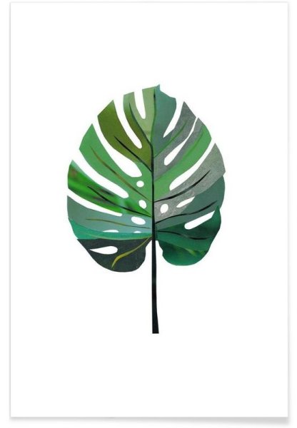 Монстера паттерн