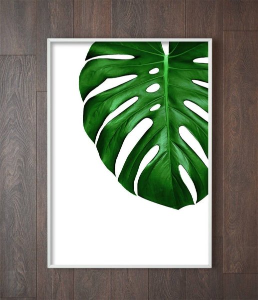 Monstera Leaf фон
