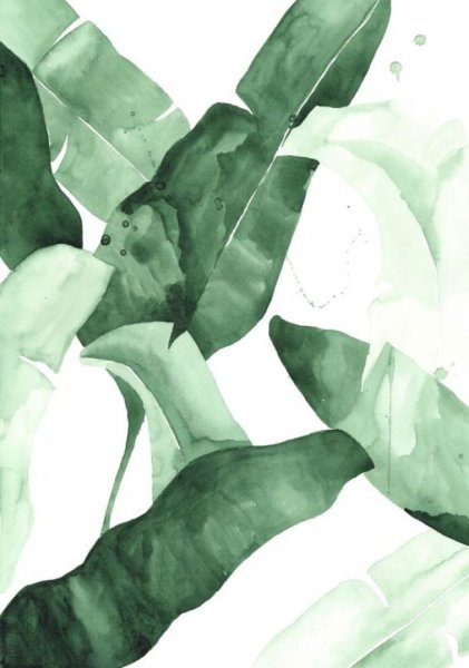 Акварельные листья пальмы