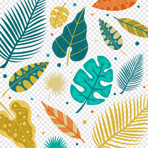 Филодендрон Андре веррукозум