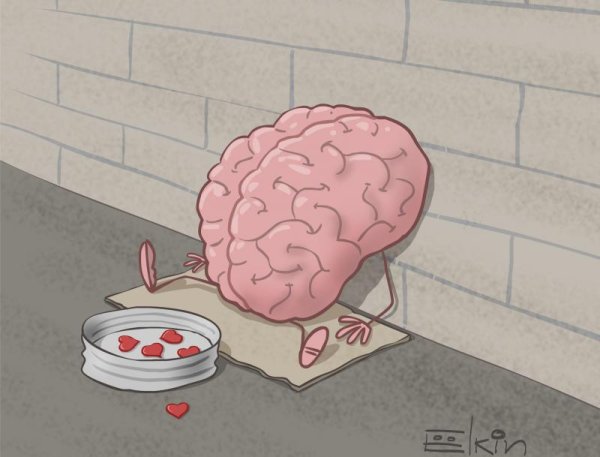 Влюбленный мозг