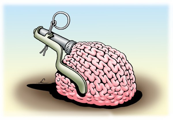 Мозг прикол