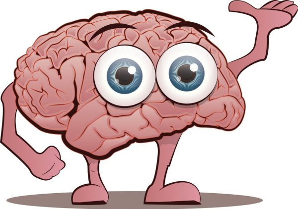 Мозг с глазками