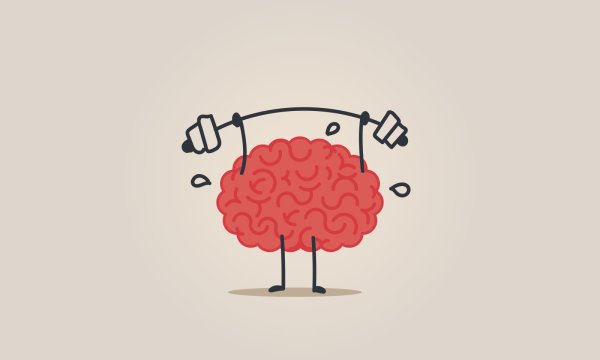 Минималистичный мозг