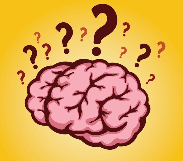 Мозг рисунок