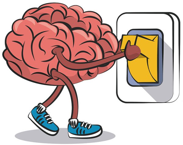 Мозг включается