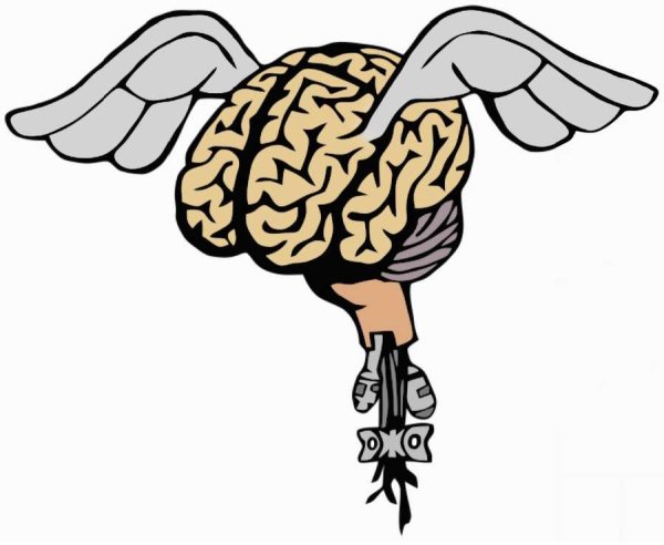 Смешной мозг