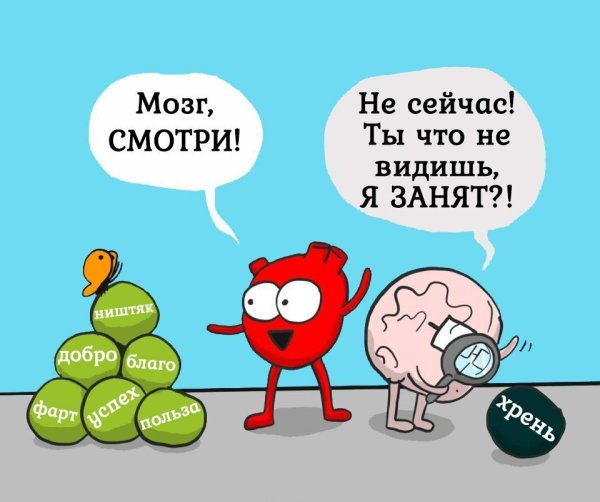 Смешные шутки про мозг