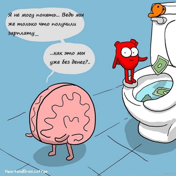 Шутки про мозги