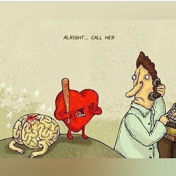 Сердце и мозг любовь