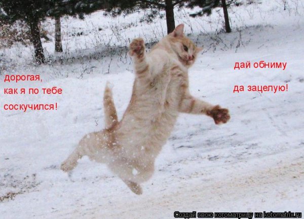 Скользко на дороге