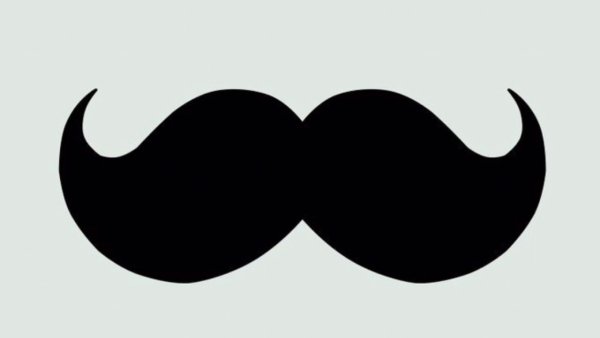 Усы карандаш