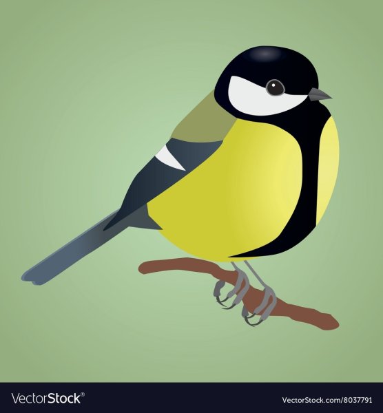 Синицы мультяшные