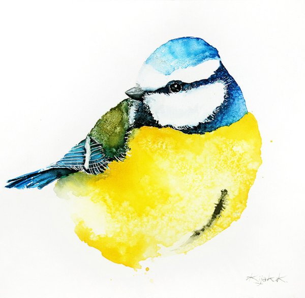 Синичка акварелью