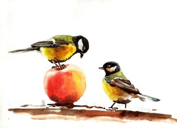 Синица акварелью