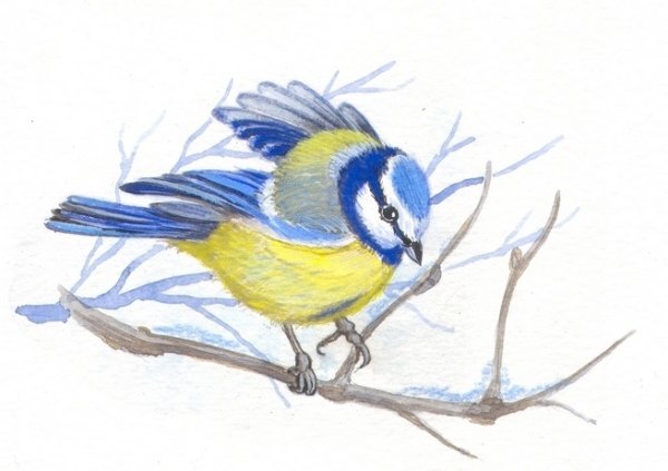 Сладков синичка