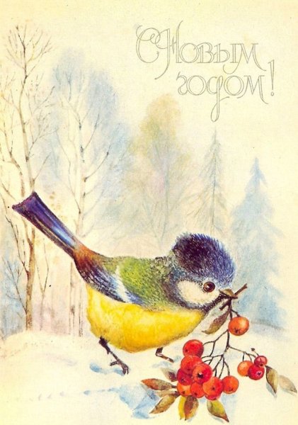 Советские открытки птички