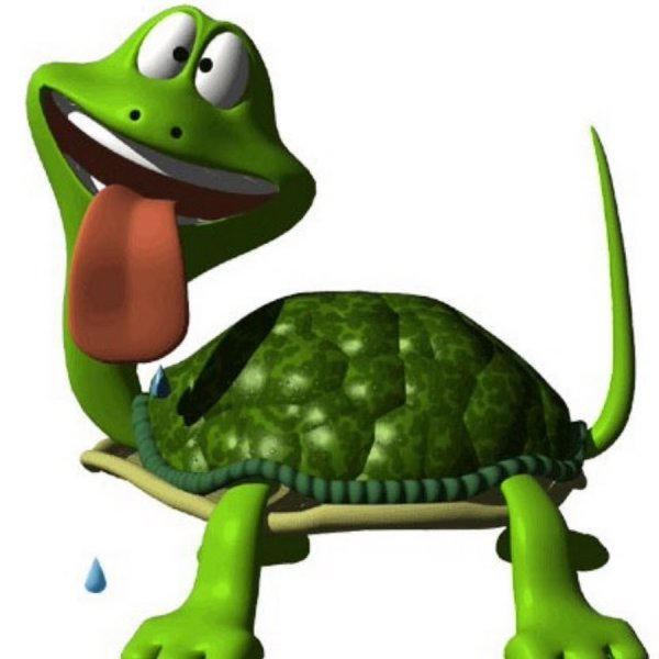 Веселая черепашка