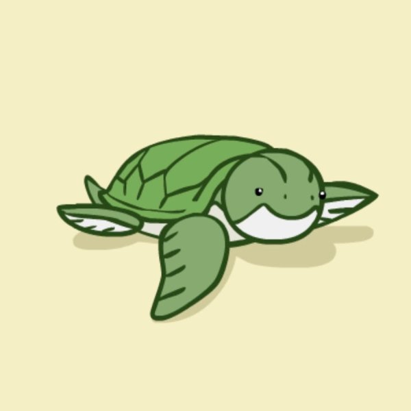 Черепаха рисунок для детей