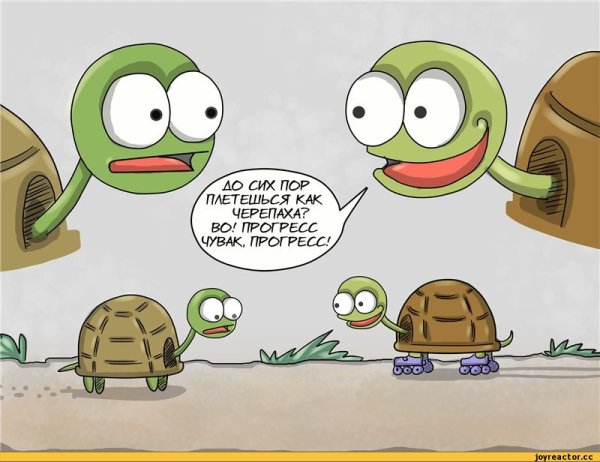 Шутки про черепах