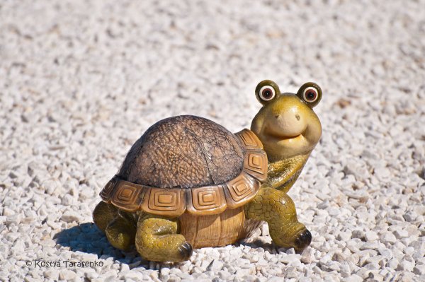 Забавные Черепашки