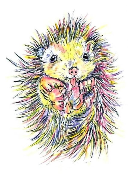 Ежик цветной