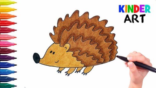 Ежик иллюстрация