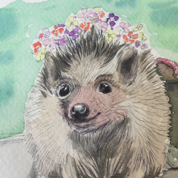 Ежики мультяшные милые