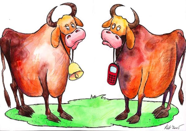 Корова карикатура