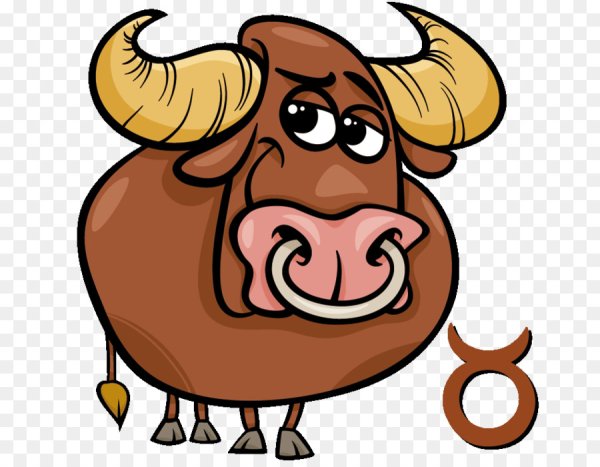 Символ года - бык