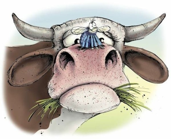 Корова карикатура