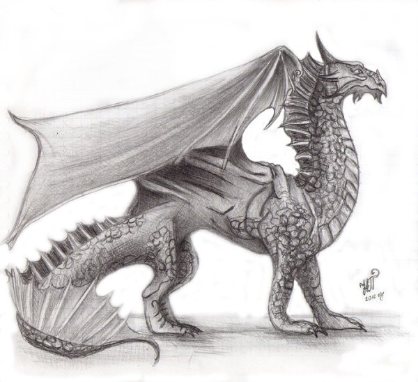 Дракон рисунок крупный