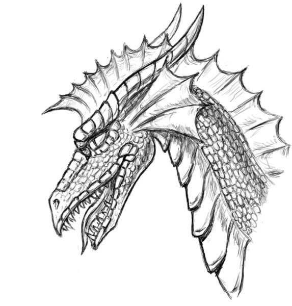 Голова дракона контур